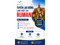 Đơn hàng làm việc tại Rumani 2026 – Thông tin tuyển dụng và điều kiện tham gia